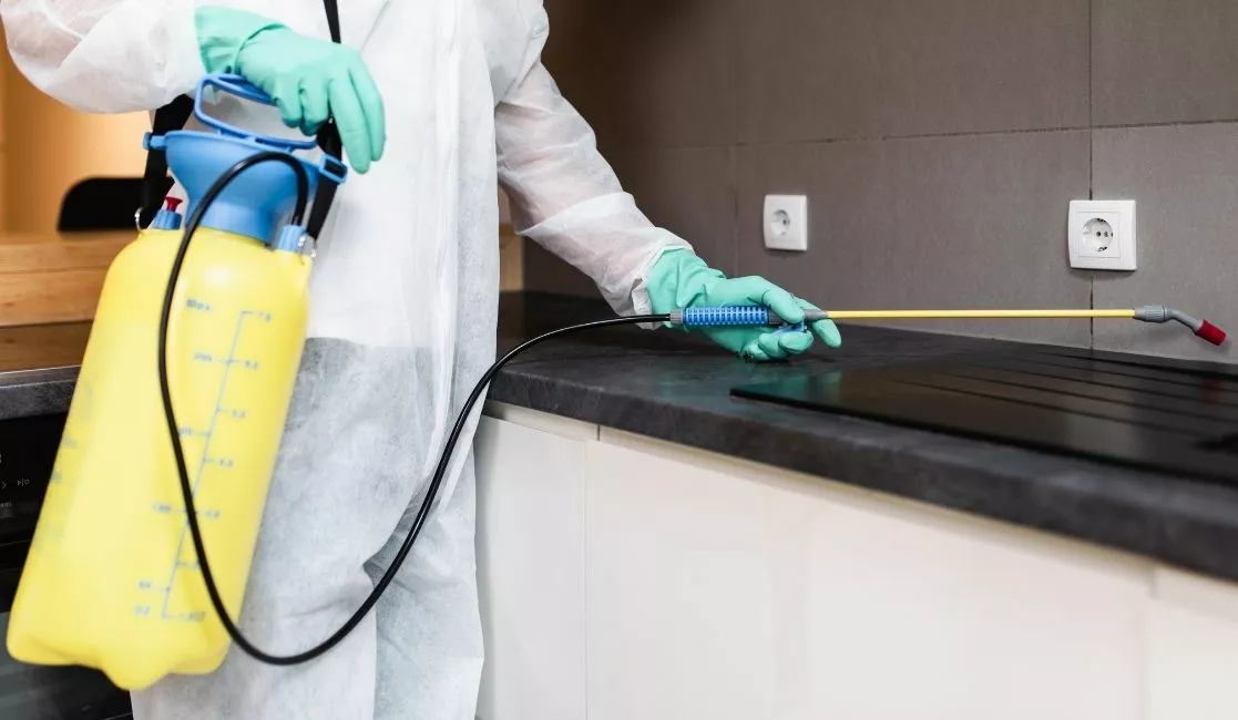 Bowmanville Pest Control Services with Zolo Pest control expert exterminating bugs