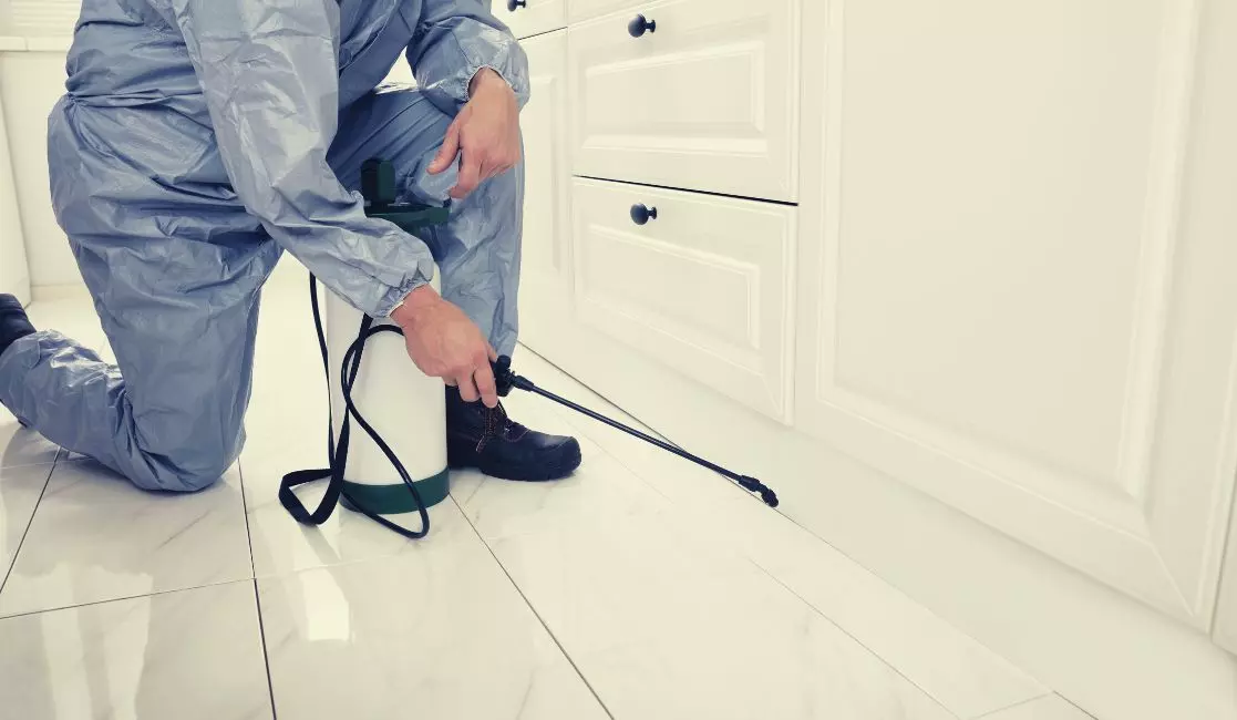 Cottage Home Pest Control Pest control expert spraying kitchen